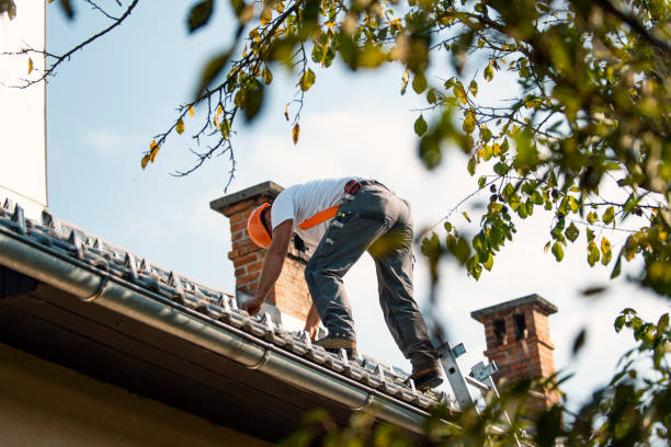 Quick and Trustworthy Emergency Roof Repair Services in Bellevue, KY
