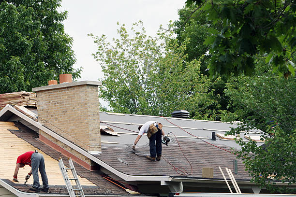 Roof Gutter Cleaning in Bellevue, KY